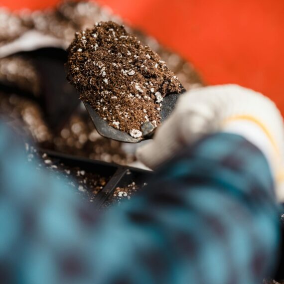 Altijarah-tarım-kimyasallari-gubreler-featured1-1920x1280 Altijarah-tarım-kimyasallari-gubreler-featured1-1920x1280